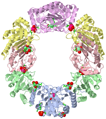 Image Biol. Unit 1 - sites