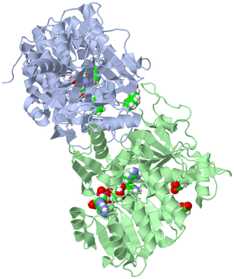 Image Asym./Biol. Unit