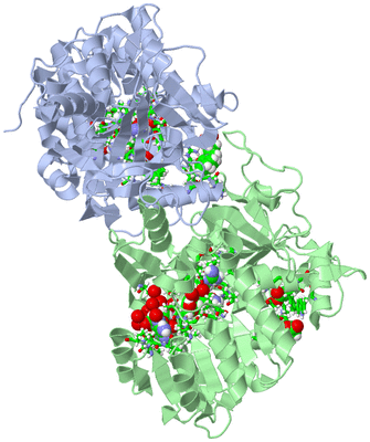 Image Asym./Biol. Unit - sites