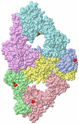 Image Asym./Biol. Unit