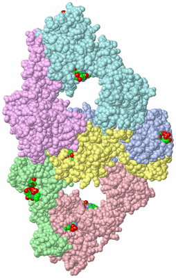 Image Asym./Biol. Unit - sites