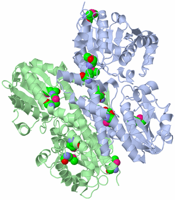 Image Asym./Biol. Unit