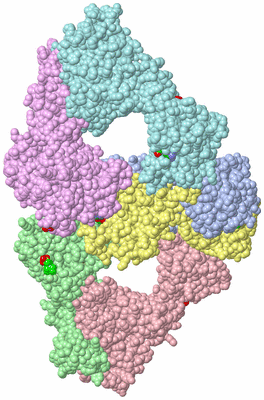 Image Asym./Biol. Unit