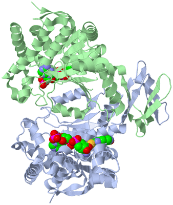 Image Asym./Biol. Unit