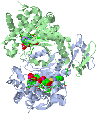 Image Asym./Biol. Unit - sites