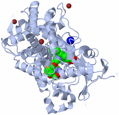 Image Biological Unit 1