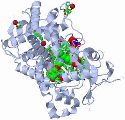 Image Biol. Unit 1 - sites