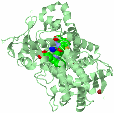 Image Biological Unit 2