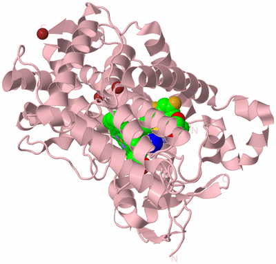 Image Biological Unit 3