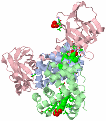 Image Asym./Biol. Unit - sites