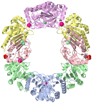 Image Biological Unit 1