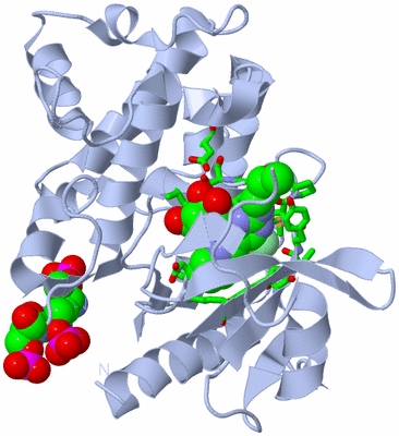 Image Biol. Unit 1 - sites