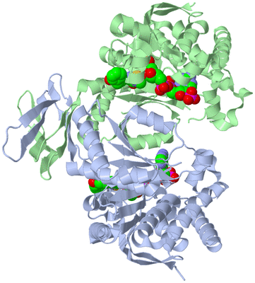 Image Asym./Biol. Unit