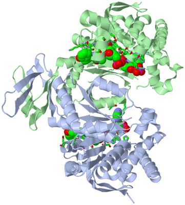 Image Asym./Biol. Unit - sites