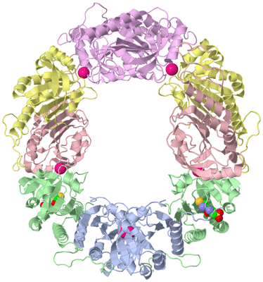 Image Biological Unit 1