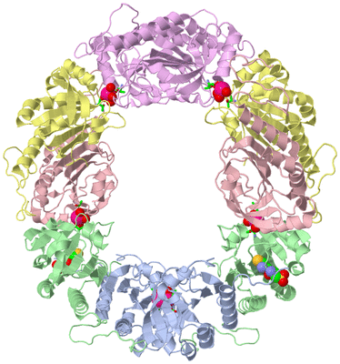 Image Biol. Unit 1 - sites