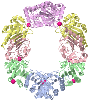 Image Biological Unit 1