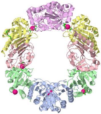 Image Biol. Unit 1 - sites