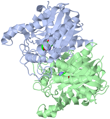 Image Asym./Biol. Unit