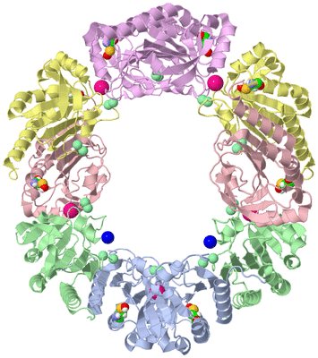 Image Biological Unit 1