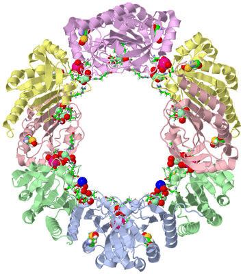 Image Biol. Unit 1 - sites