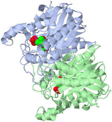 Image Asym./Biol. Unit