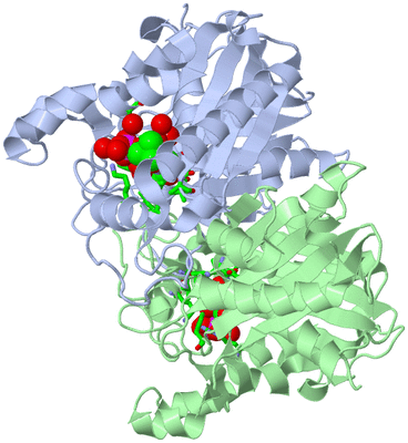 Image Asym./Biol. Unit - sites