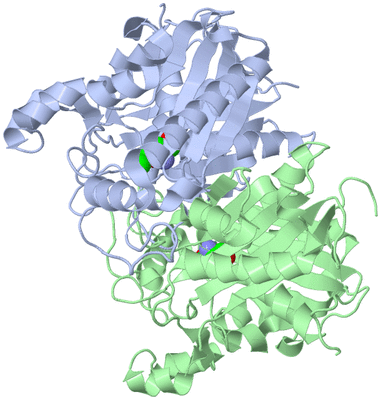 Image Asym./Biol. Unit