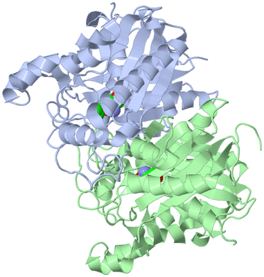 Image Asym./Biol. Unit