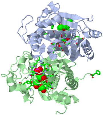 Image Biol. Unit 1 - sites