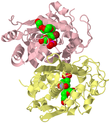 Image Biological Unit 2