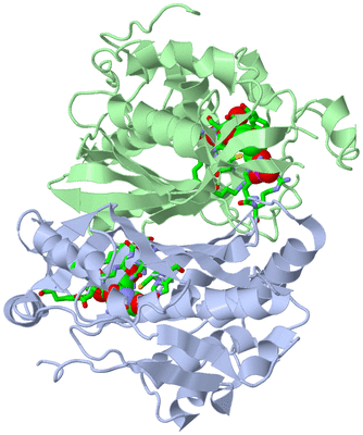 Image Biol. Unit 1 - sites