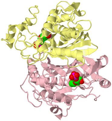 Image Biological Unit 2