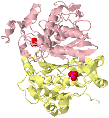 Image Biological Unit 1