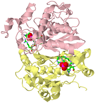 Image Biol. Unit 1 - sites