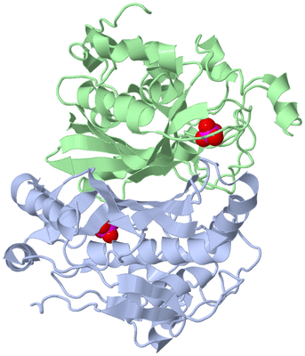 Image Biological Unit 2