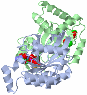 Image Asym./Biol. Unit