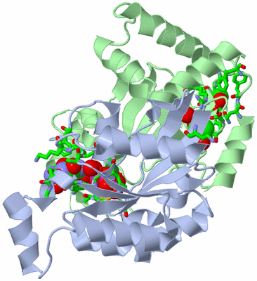 Image Asym./Biol. Unit - sites