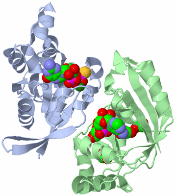 Image Asym./Biol. Unit