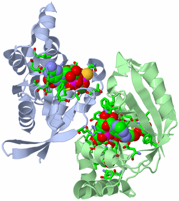 Image Asym./Biol. Unit - sites