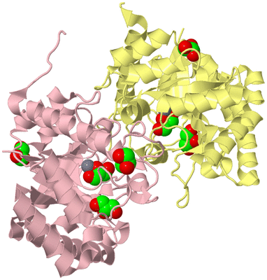 Image Biological Unit 2