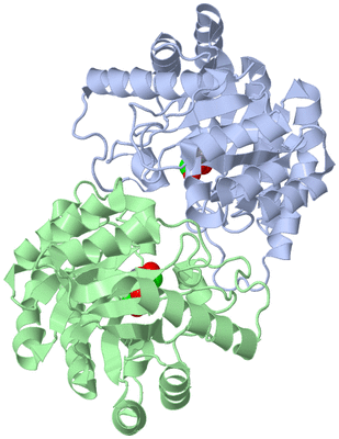 Image Biological Unit 1