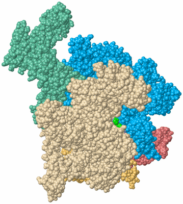 Image Biological Unit 2