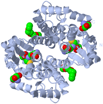 Image Biological Unit 1