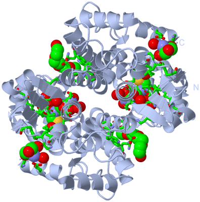 Image Biol. Unit 1 - sites