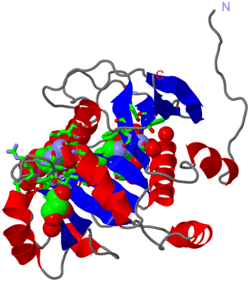 Image Asym. Unit - sites