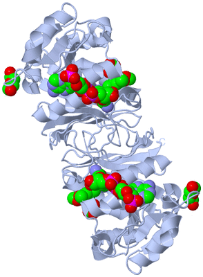 Image Biological Unit 1