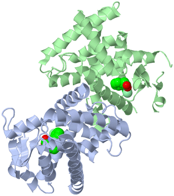 Image Biological Unit 3