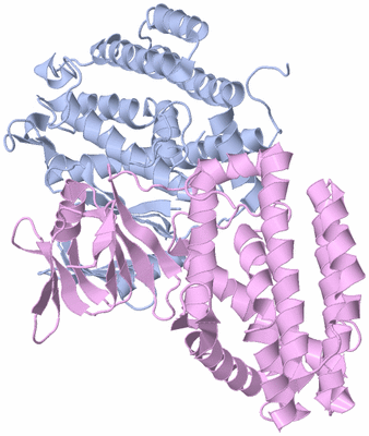 Image Biological Unit 1