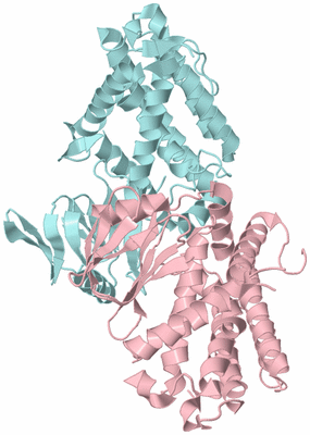 Image Biological Unit 3